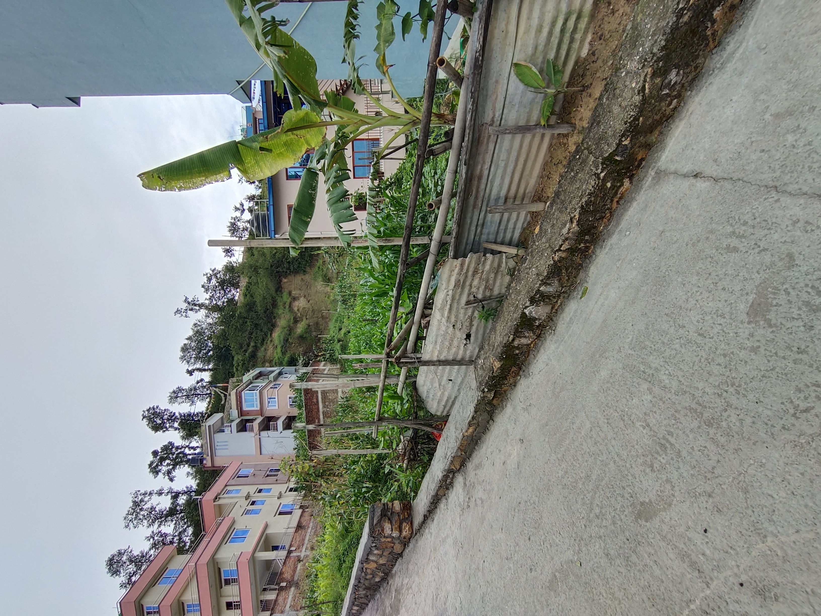 Picture of Budhanilkantha Municipality, Bagmati